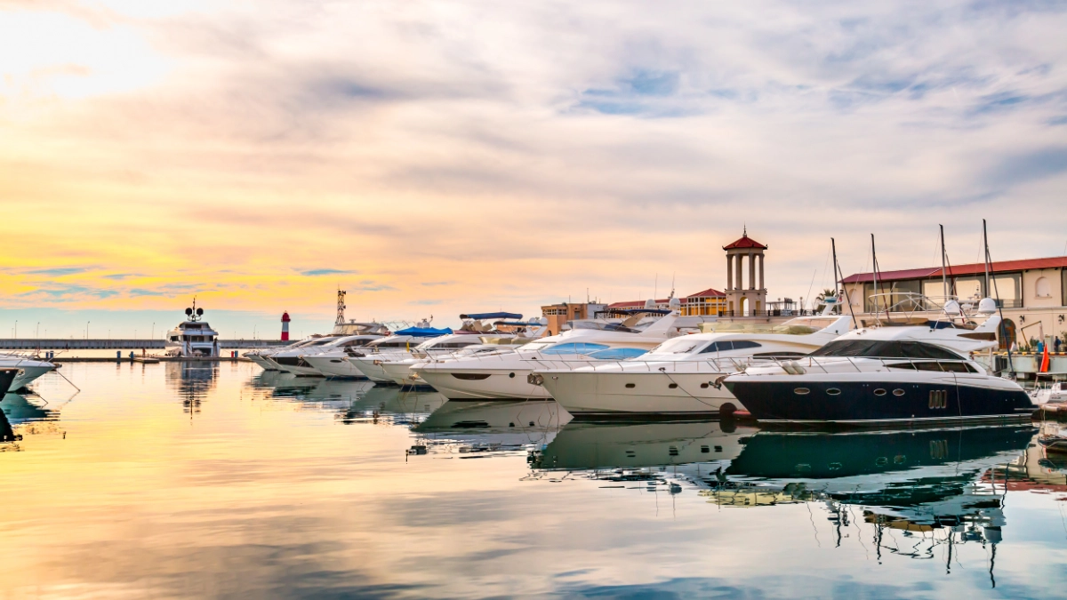 several yachts at a dock