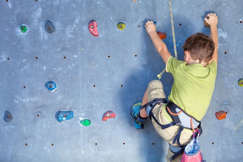 a child climbing on a rock wall with a harness