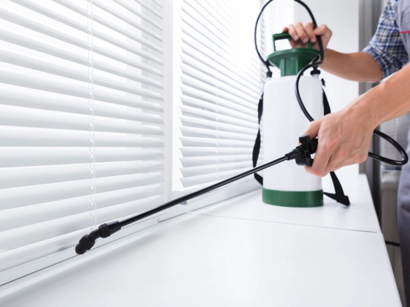 Affordable Pest Control technician spraying inside a house